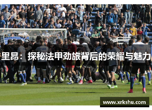里昂：探秘法甲劲旅背后的荣耀与魅力